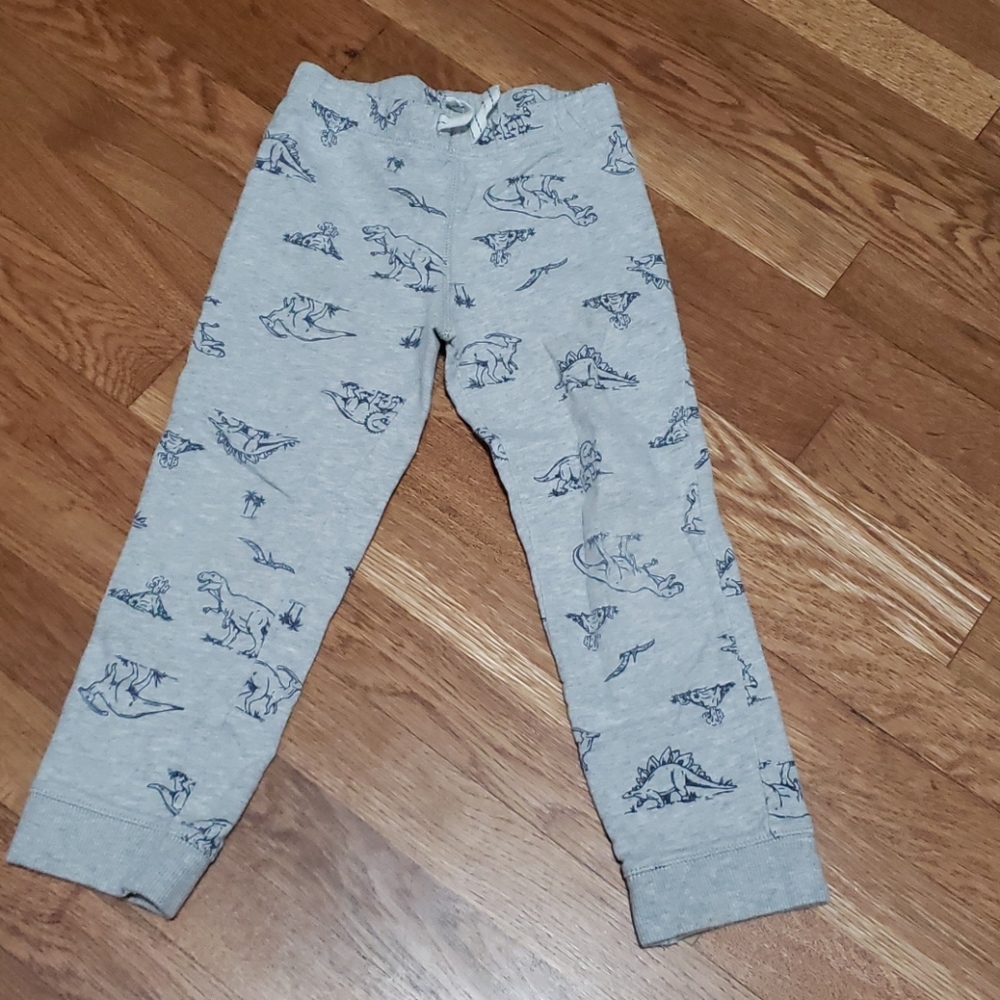 Gray dinosaur pants